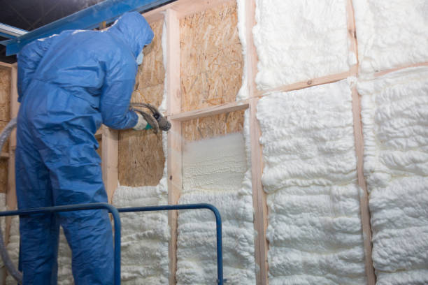 Best Eco-Friendly or Green Insulation Solutions in Dovesville, SC